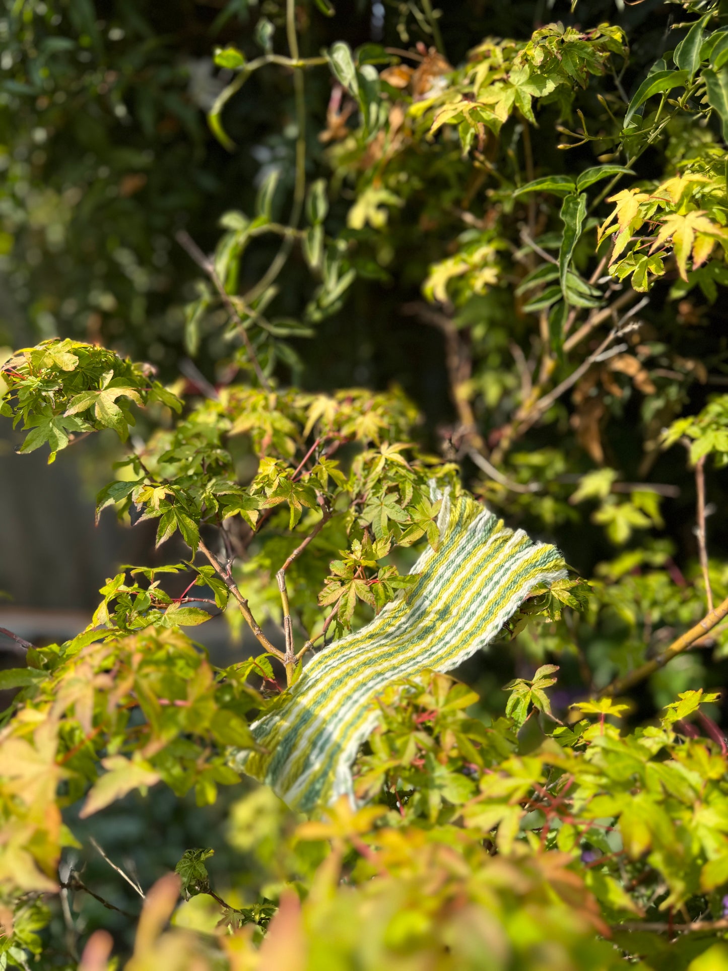 Botanical bookmarks