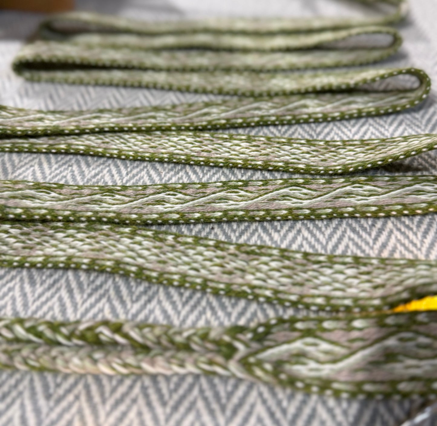 Green Dublin dragons band